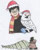 Harry z Hedwig�